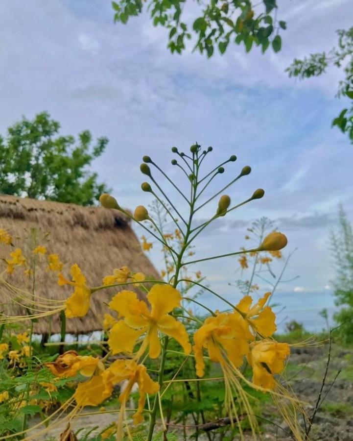 Oro Beach Houses Weetebula Екстериор снимка